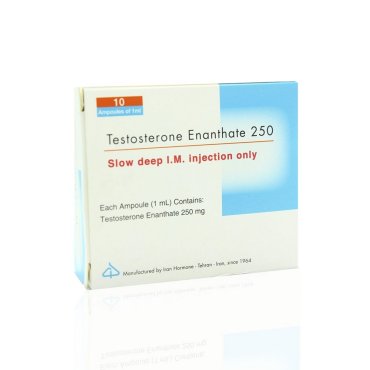 Testosterone E 250 mg Iran Hormone